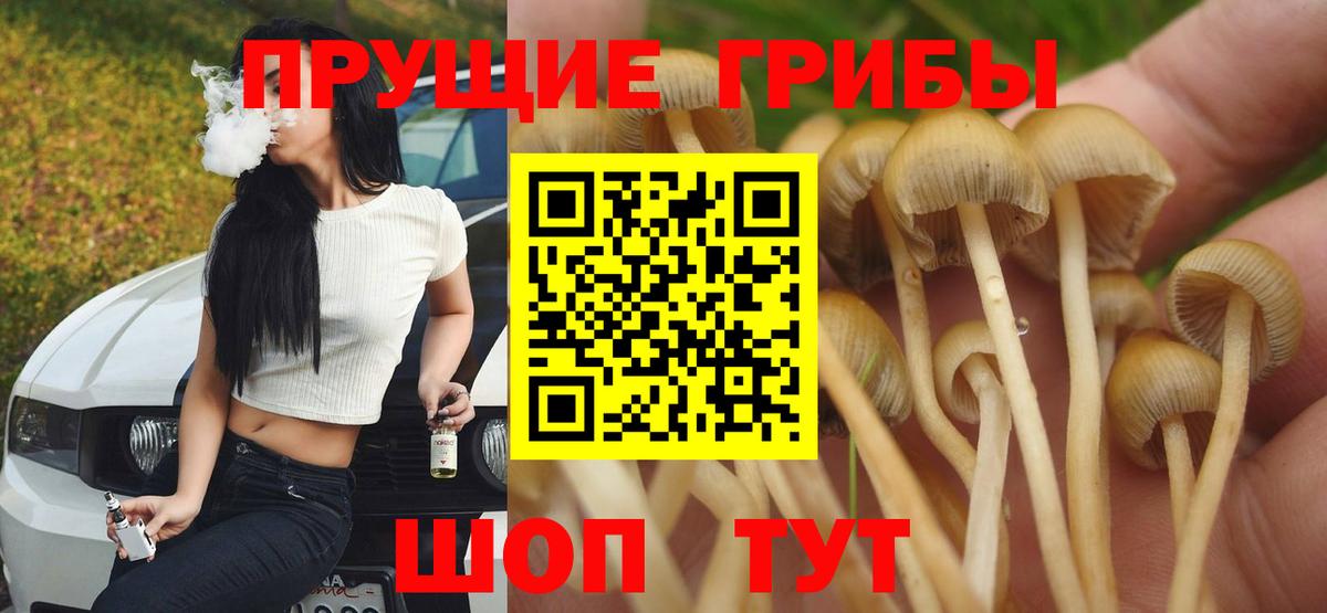 купить наркотик  Галлюциногенные грибы Psilocybine cubensis  Вход с VPN  Вышний Волочёк 